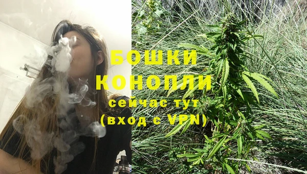 тгк Володарск