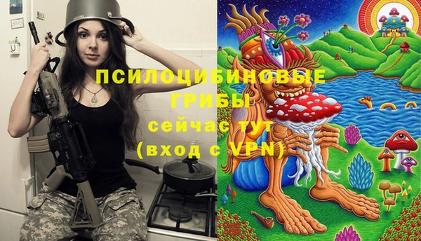 крисы Волоколамск