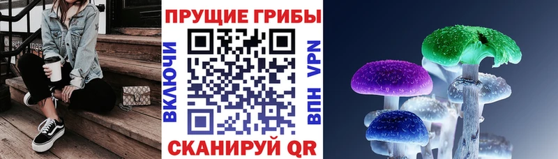 Галлюциногенные грибы прущие грибы  Подпорожье 